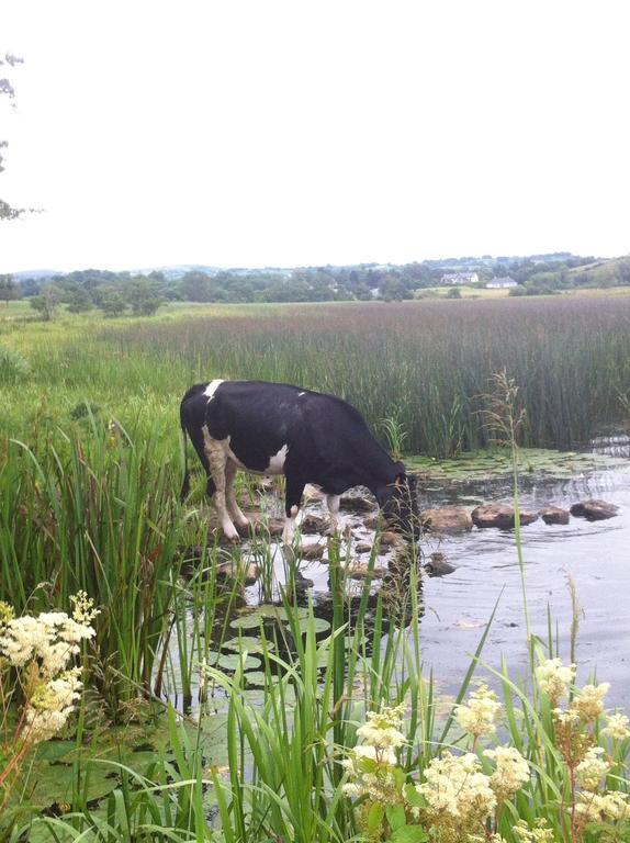 Bed and Breakfast Dromard House Enniskillen Esterno foto